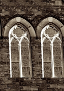 Wall_Art_Alphabet_Photography_Art_ 1396
